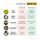 FLORAL RESCUE GOTAS ORIGINAL 10ML - FLORAIS DE BACH